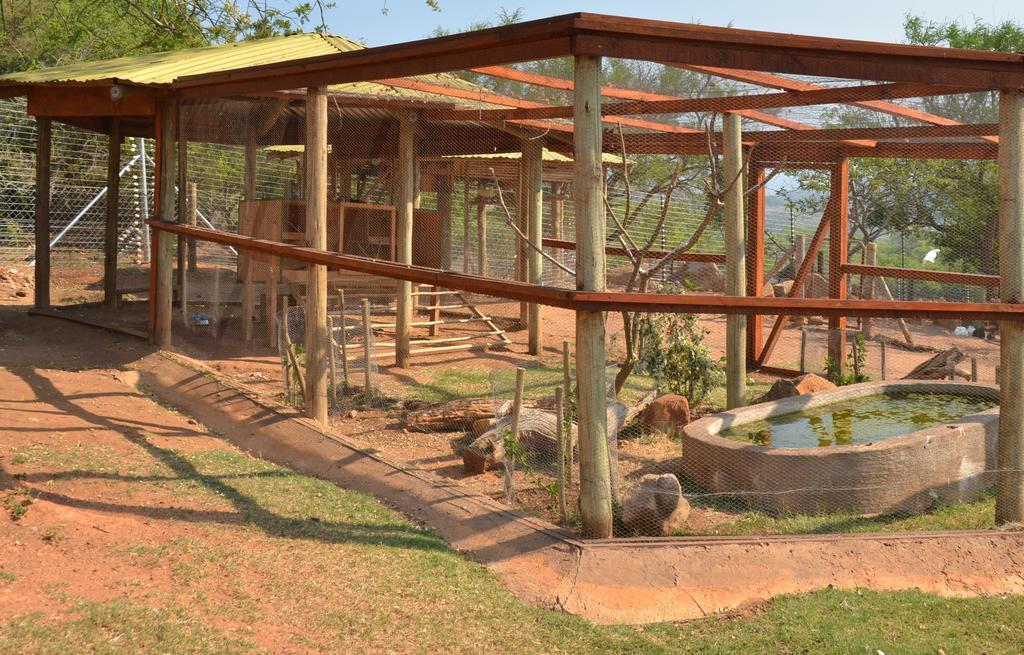 Ebundu Lodge White River Bagian luar foto
